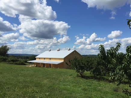 Pennings Farm Cidery Blue Skies small