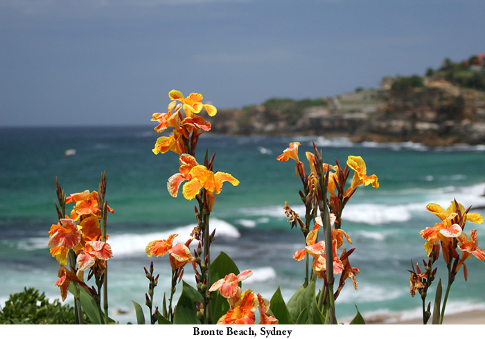 Bronte_Beach_Sydney